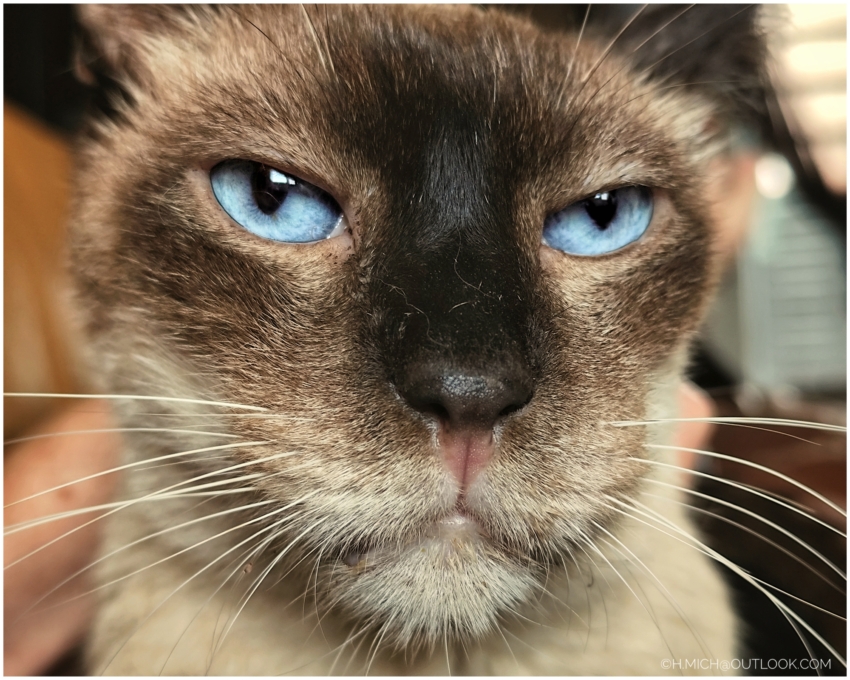 Studio-One.Art.br Repo Fotografia em Rio Preto SP/Brasil