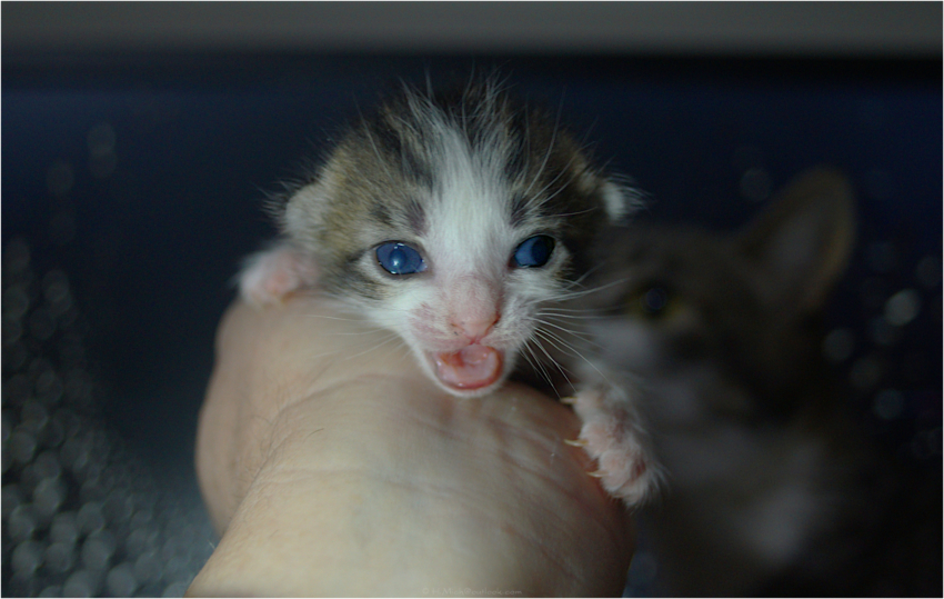 Studio-One.Art.br Repo Fotografia em Rio Preto SP/Brasil