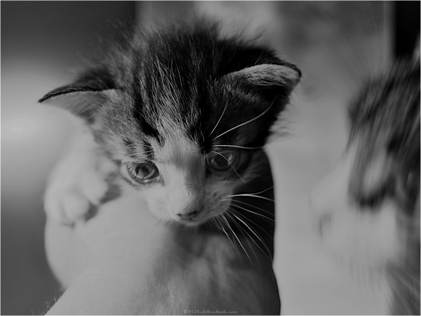 Studio-One.Art.br Repo Fotografia em Rio Preto SP/Brasil