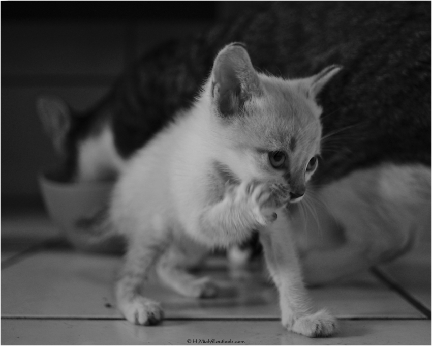 Studio-One.Art.br Repo Fotografia em Rio Preto SP/Brasil