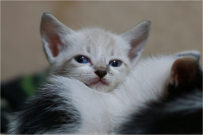 Studio-One.Art.br Repo Fotografia em Rio Preto SP/Brasil