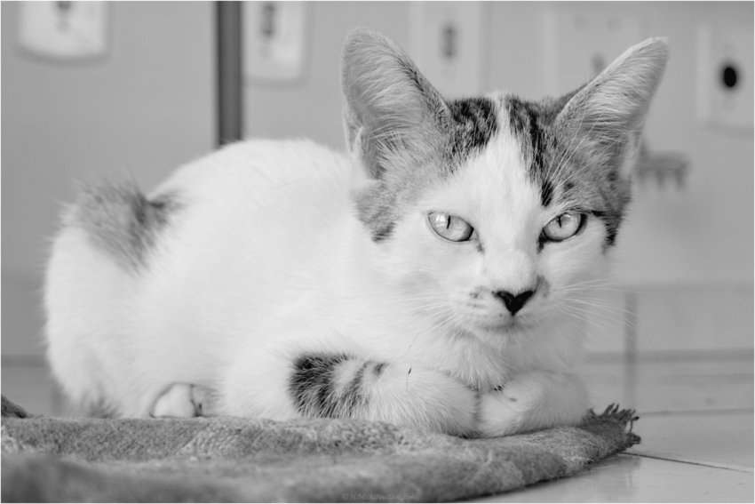 Studio-One.Art.br Repo Fotografia em Rio Preto SP/Brasil