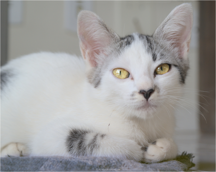 Studio-One.Art.br Repo Fotografia em Rio Preto SP/Brasil