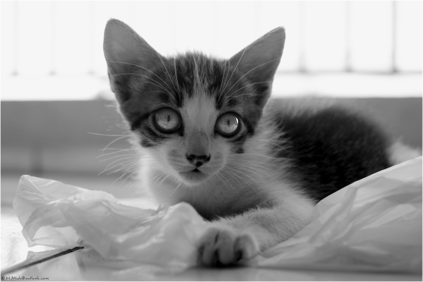 Studio-One.Art.br Repo Fotografia em Rio Preto SP/Brasil