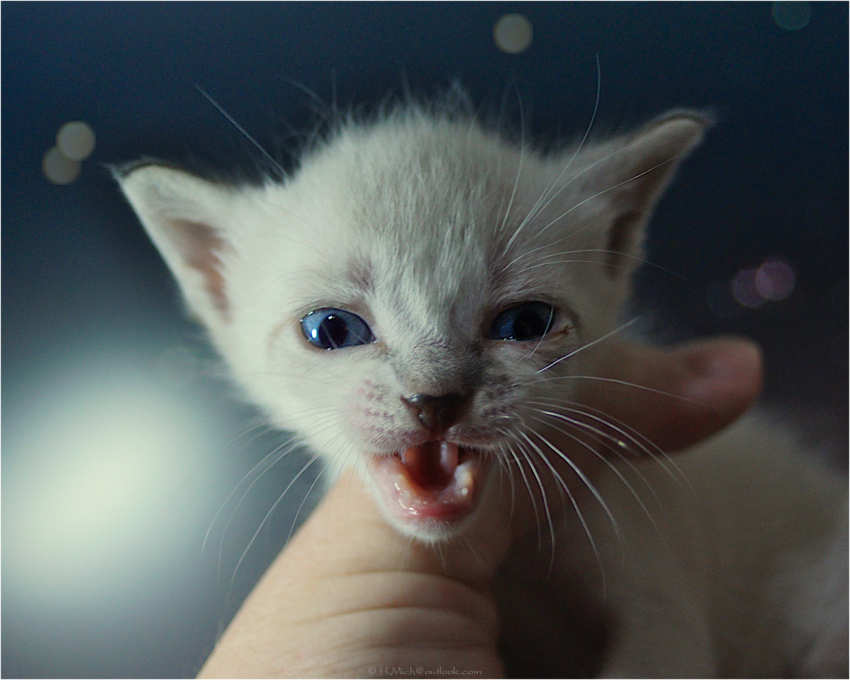 Studio-One.Art.br Repo Fotografia em Rio Preto SP/Brasil