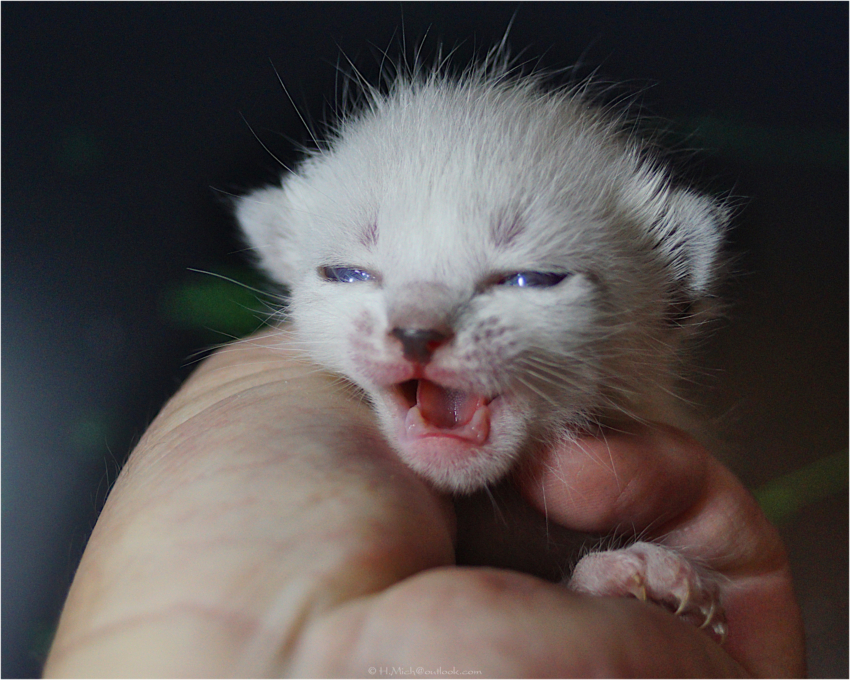 Studio-One.Art.br Repo Fotografia em Rio Preto SP/Brasil