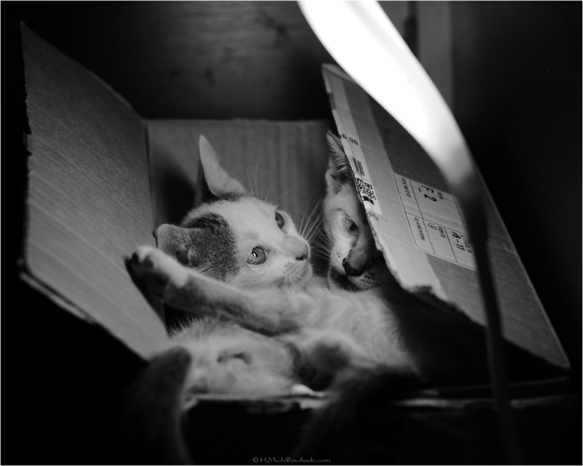 Studio-One.Art.br Repo Fotografia em Rio Preto SP/Brasil