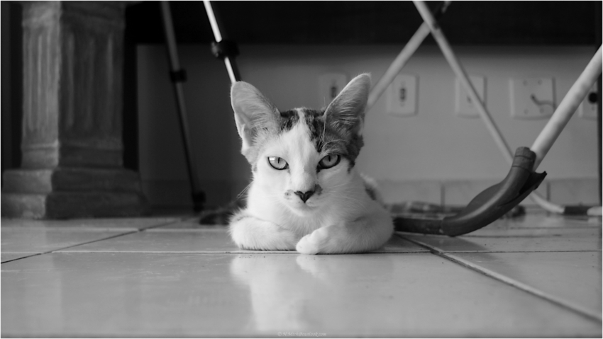 Studio-One.Art.br Repo Fotografia em Rio Preto SP/Brasil