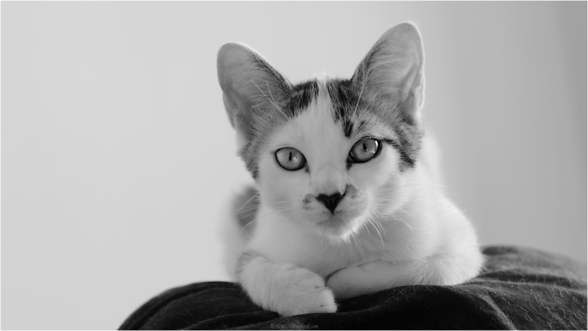 Studio-One.Art.br Repo Fotografia em Rio Preto SP/Brasil