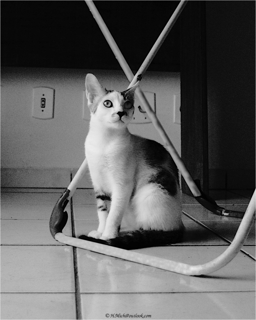 Studio-One.Art.br Repo Fotografia em Rio Preto SP/Brasil