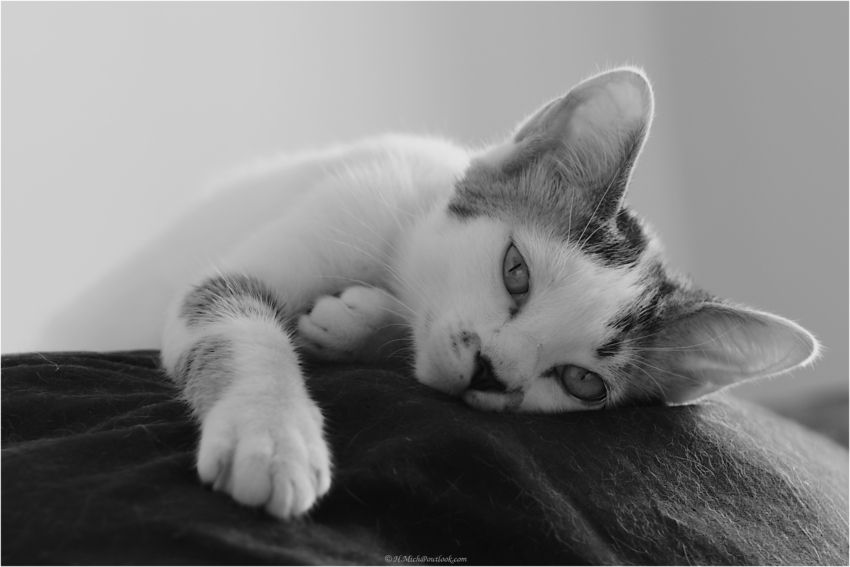 Studio-One.Art.br Repo Fotografia em Rio Preto SP/Brasil