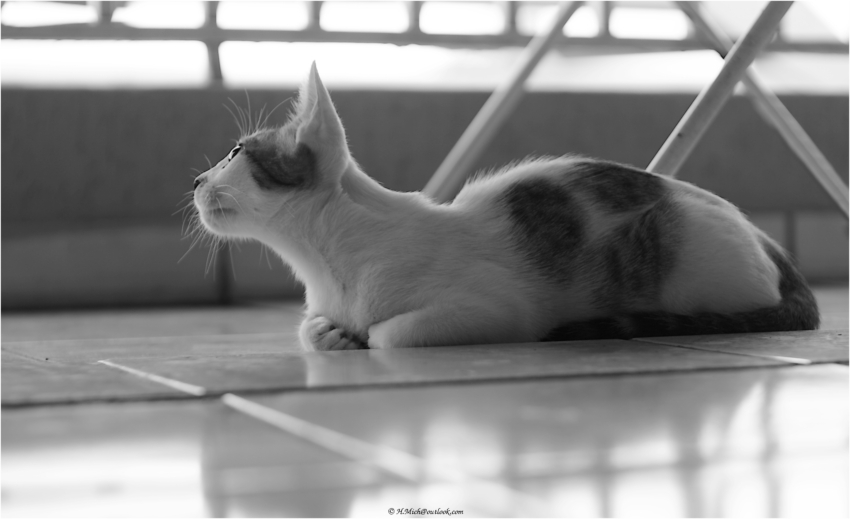 Studio-One.Art.br Repo Fotografia em Rio Preto SP/Brasil