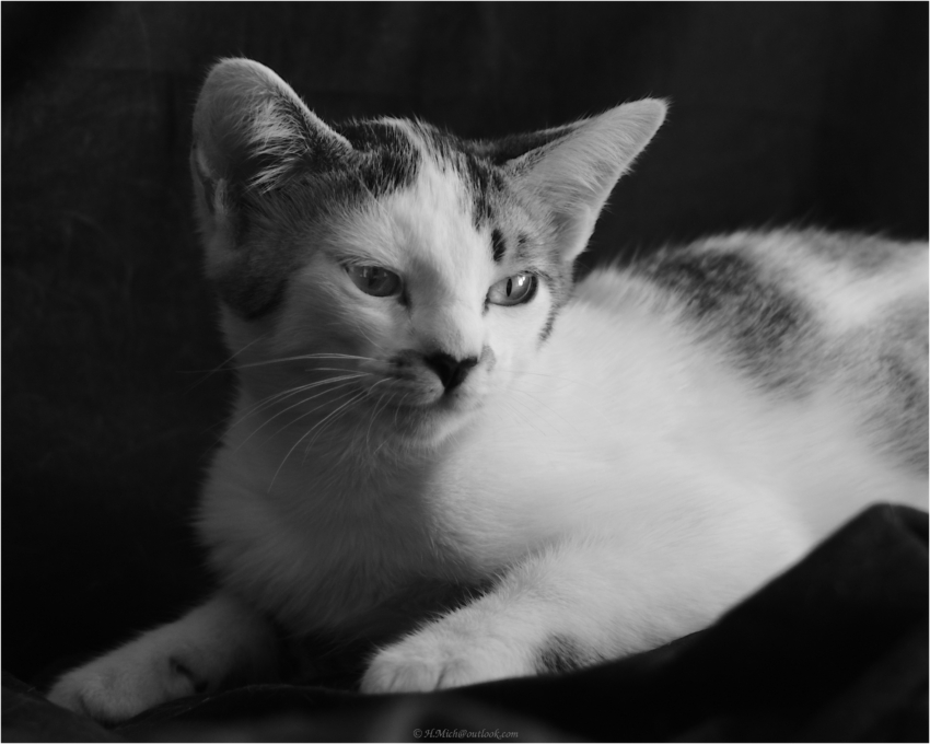 Studio-One.Art.br Repo Fotografia em Rio Preto SP/Brasil