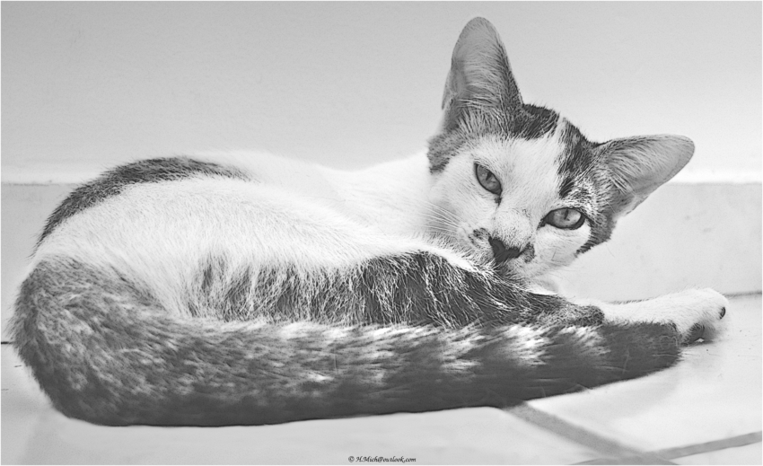 Studio-One.Art.br Repo Fotografia em Rio Preto SP/Brasil