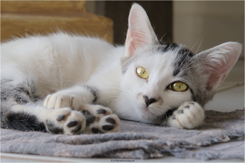 Studio-One.Art.br Repo Fotografia em Rio Preto SP/Brasil