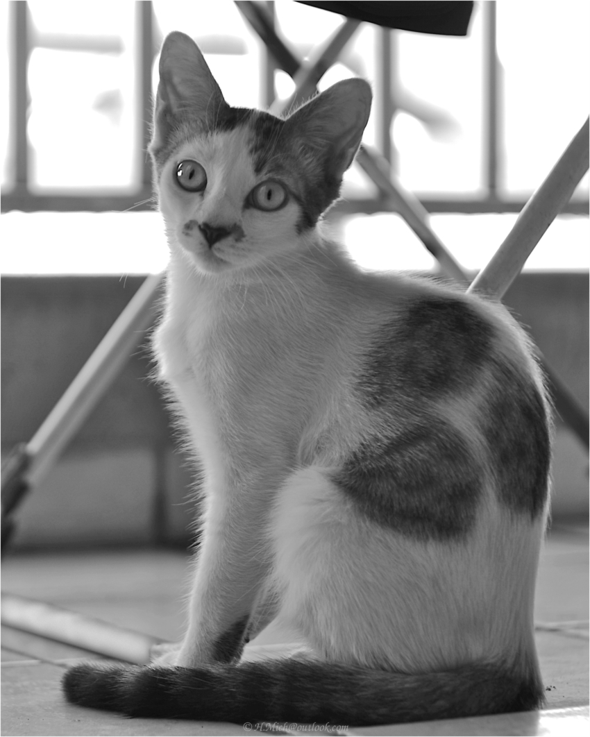 Studio-One.Art.br Repo Fotografia em Rio Preto SP/Brasil