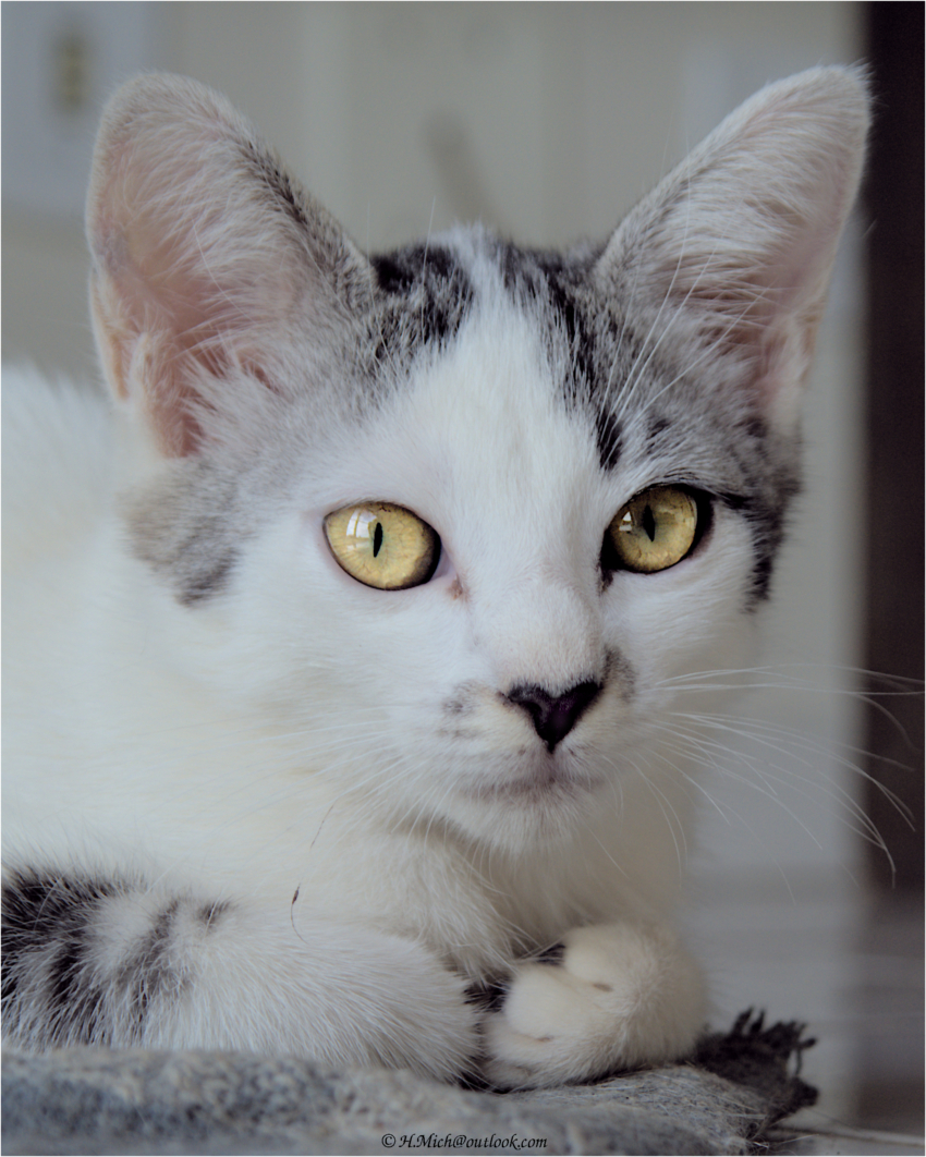 Studio-One.Art.br Repo Fotografia em Rio Preto SP/Brasil