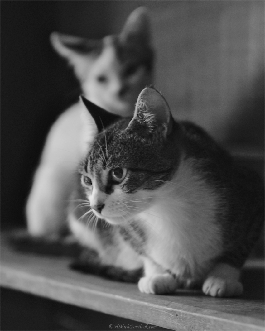 Studio-One.Art.br Repo Fotografia em Rio Preto SP/Brasil