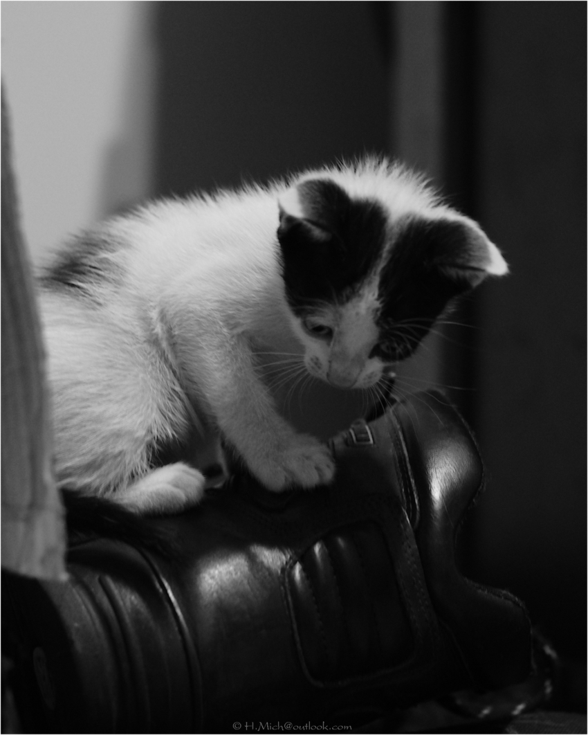 Studio-One.Art.br Repo Fotografia em Rio Preto SP/Brasil