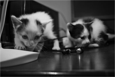 © H.mich@outlook.com