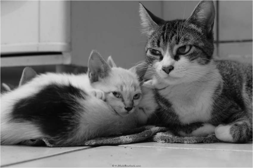 Studio-One.Art.br Repo Fotografia em Rio Preto SP/Brasil