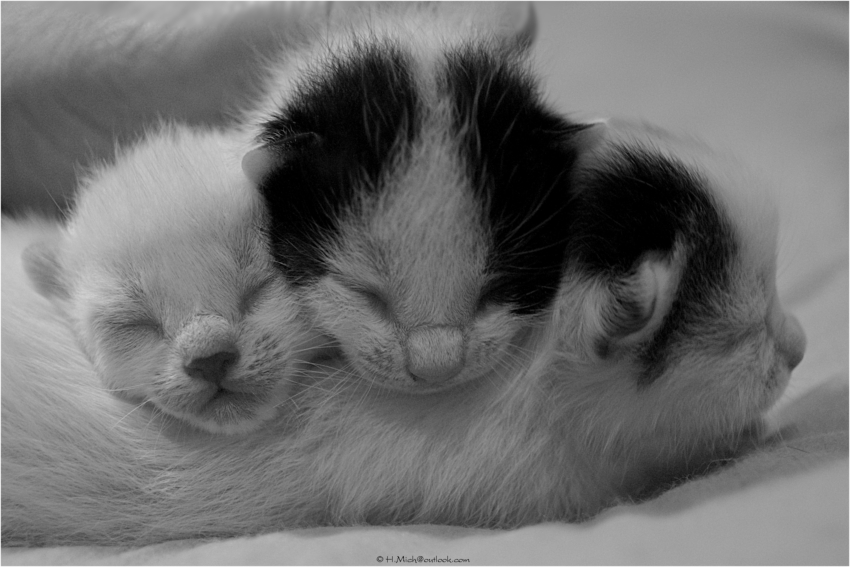 Studio-One.Art.br Repo Fotografia em Rio Preto SP/Brasil