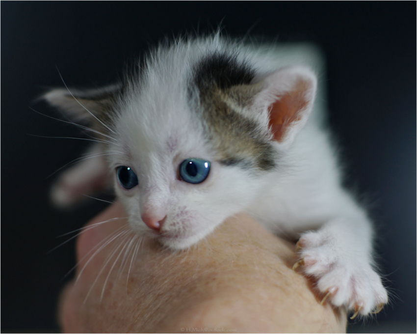 Studio-One.Art.br Repo Fotografia em Rio Preto SP/Brasil