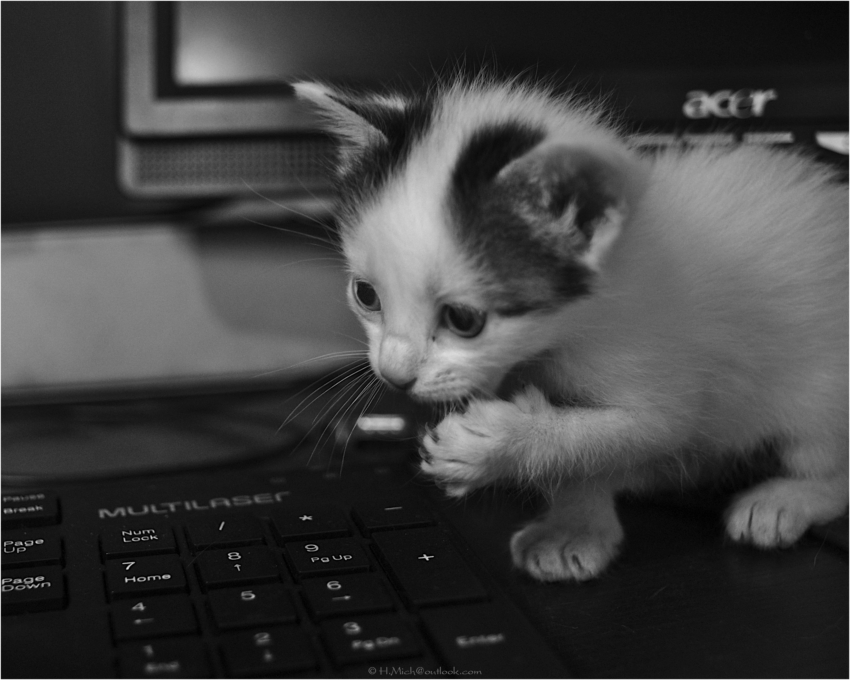 Studio-One.Art.br Repo Fotografia em Rio Preto SP/Brasil