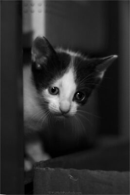 © H.mich@outlook.com