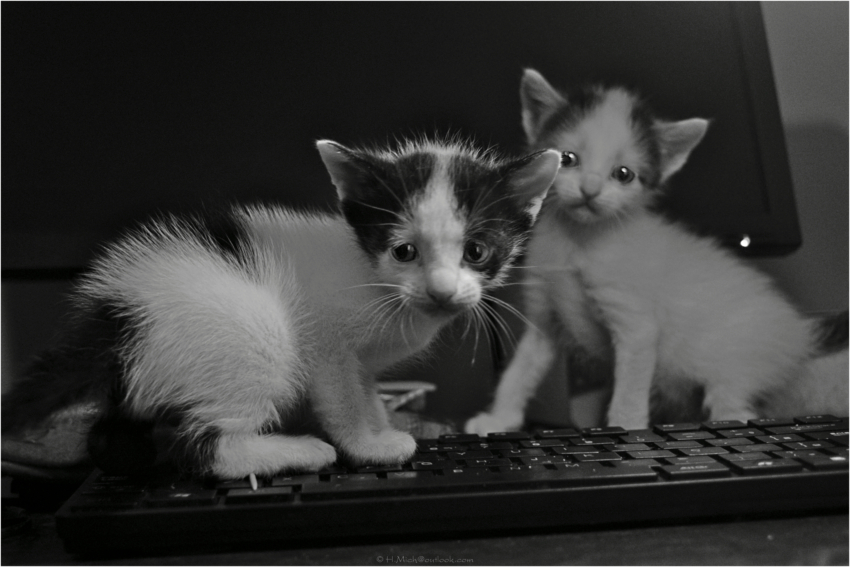 Studio-One.Art.br Repo Fotografia em Rio Preto SP/Brasil