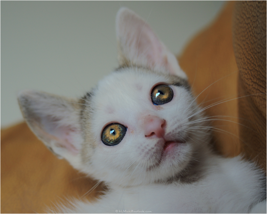 Studio-One.Art.br Repo Fotografia em Rio Preto SP/Brasil