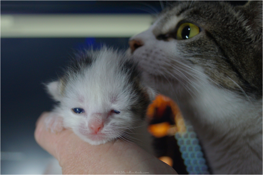 Studio-One.Art.br Repo Fotografia em Rio Preto SP/Brasil