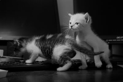 © H.mich@outlook.com