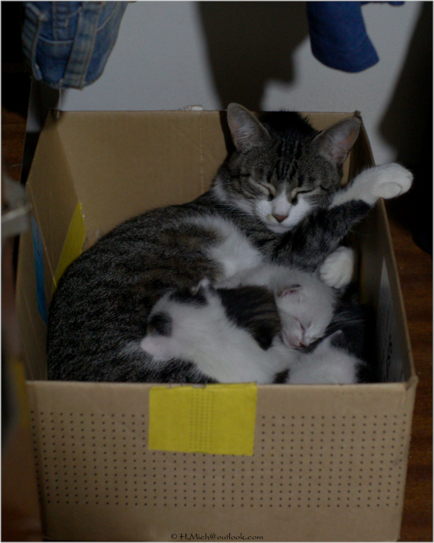 Studio-One.Art.br Repo Fotografia em Rio Preto SP/Brasil