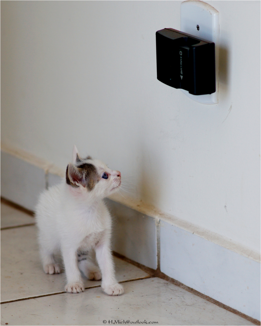 Studio-One.Art.br Repo Fotografia em Rio Preto SP/Brasil