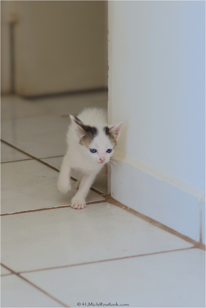 Studio-One.Art.br Repo Fotografia em Rio Preto SP/Brasil