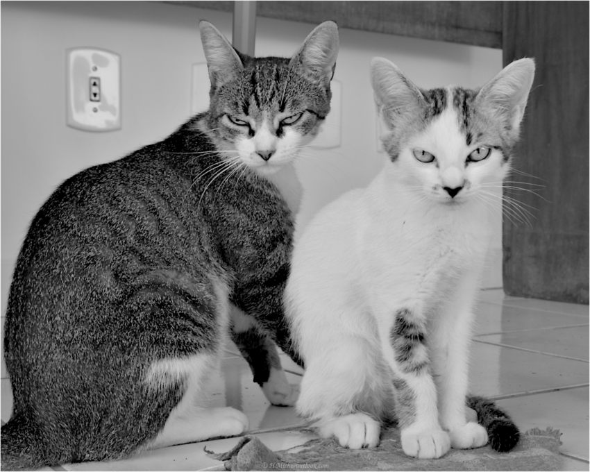 Studio-One.Art.br Repo Fotografia em Rio Preto SP/Brasil