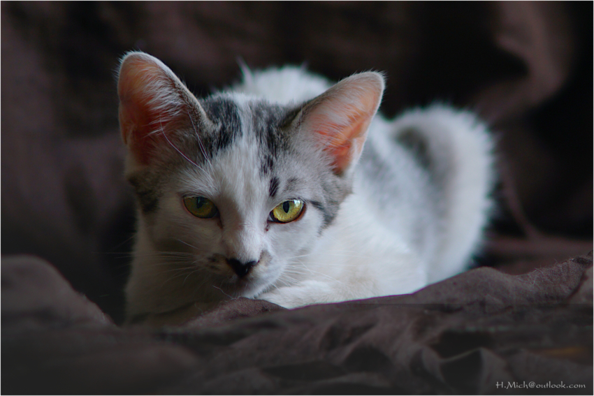 Studio-One.Art.br Repo Fotografia em Rio Preto SP/Brasil