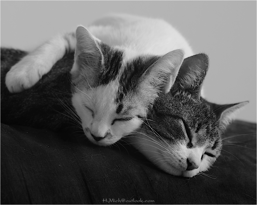 Studio-One.Art.br Repo Fotografia em Rio Preto SP/Brasil