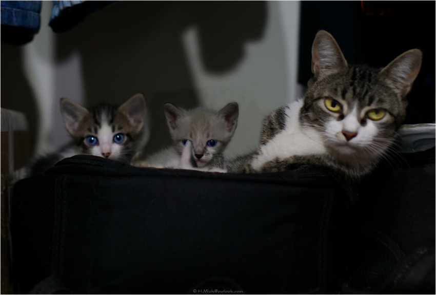 Studio-One.Art.br Repo Fotografia em Rio Preto SP/Brasil