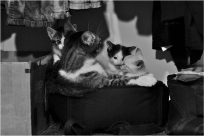 © H.mich@outlook.com