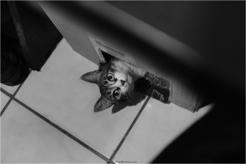 Studio-One.Art.br Repo Fotografia em Rio Preto SP/Brasil