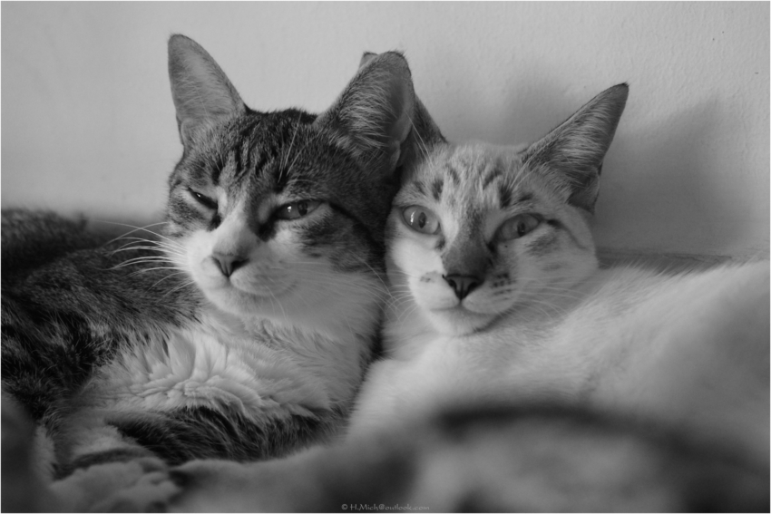 Studio-One.Art.br Repo Fotografia em Rio Preto SP/Brasil