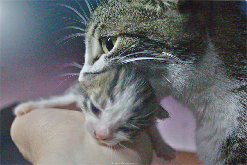 Studio-One.Art.br Repo Fotografia em Rio Preto SP/Brasil