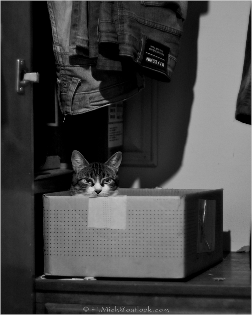 Studio-One.Art.br Repo Fotografia em Rio Preto SP/Brasil