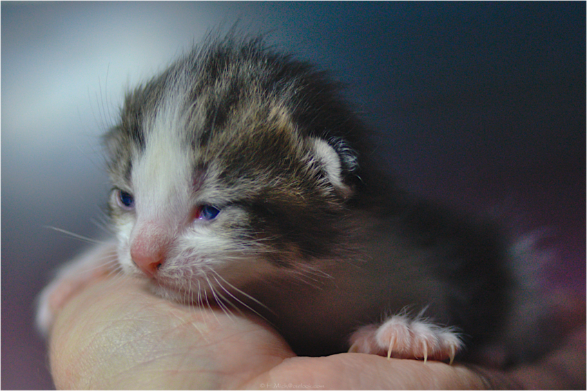 Studio-One.Art.br Repo Fotografia em Rio Preto SP/Brasil