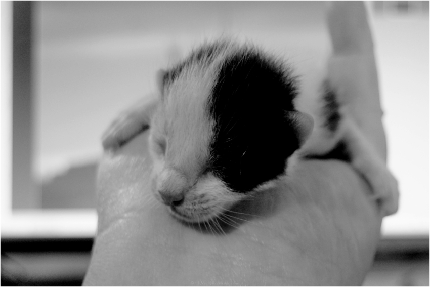 Studio-One.Art.br Repo Fotografia em Rio Preto SP/Brasil