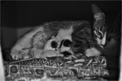© H.mich@outlook.com