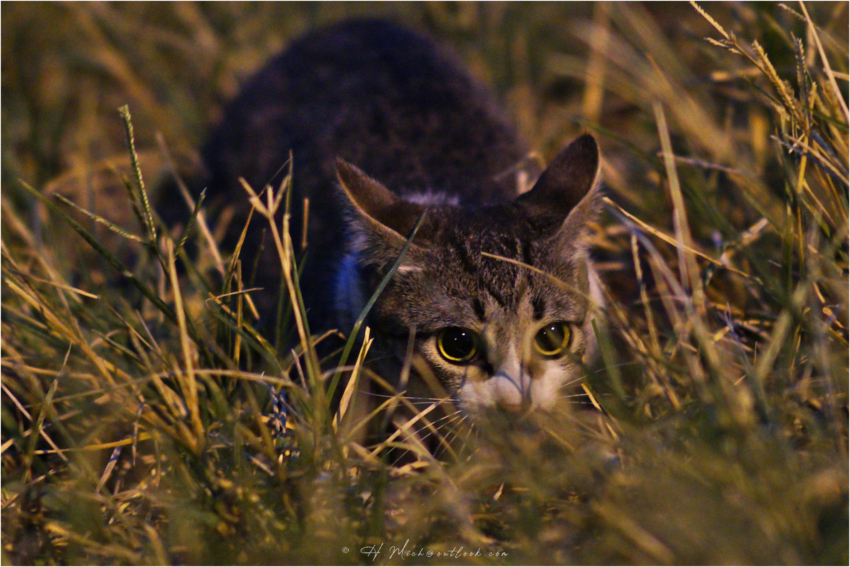 Studio-One.Art.br Repo Fotografia em Rio Preto SP/Brasil