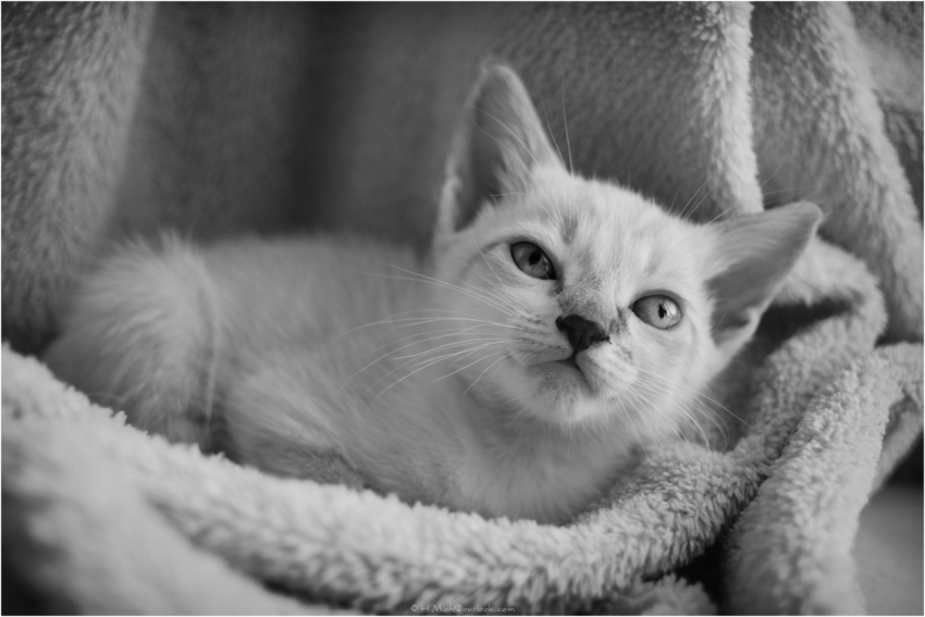 Studio-One.Art.br Repo Fotografia em Rio Preto SP/Brasil